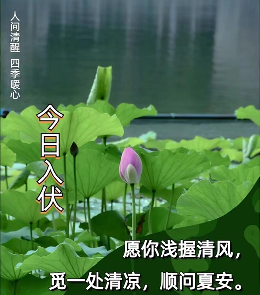 47ff841f7737cef49365f763b7afbd4